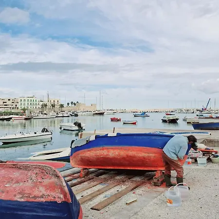 Pensiune Novum Hospitality